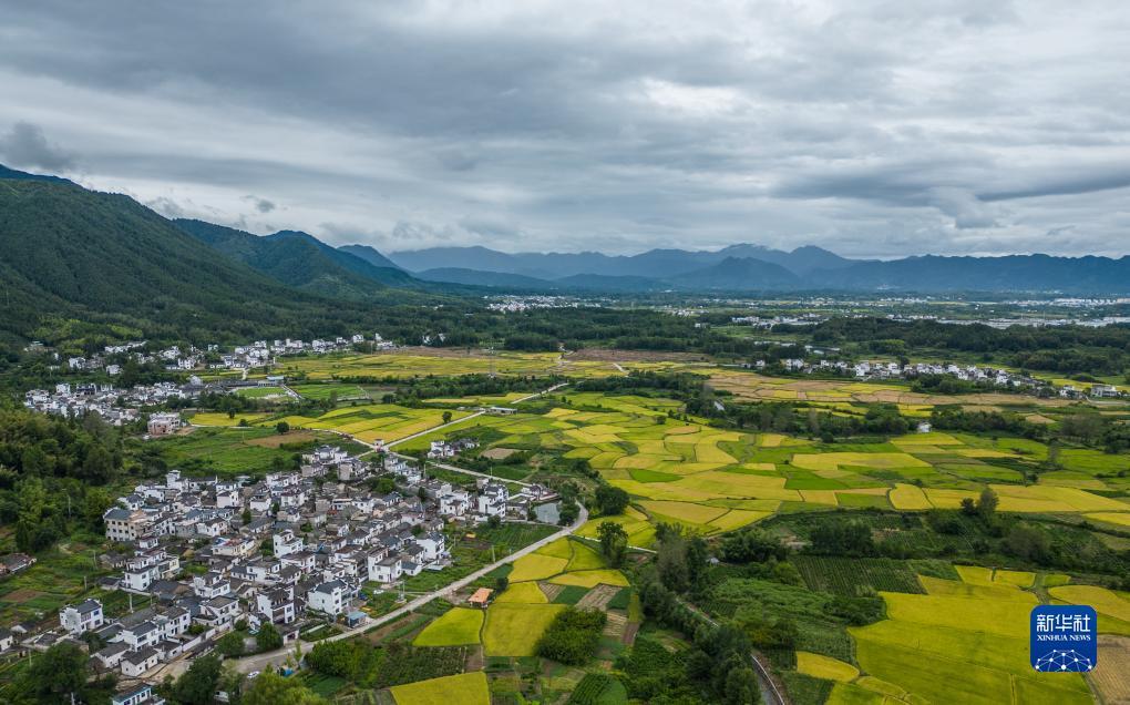 元宝棋牌有挂吗